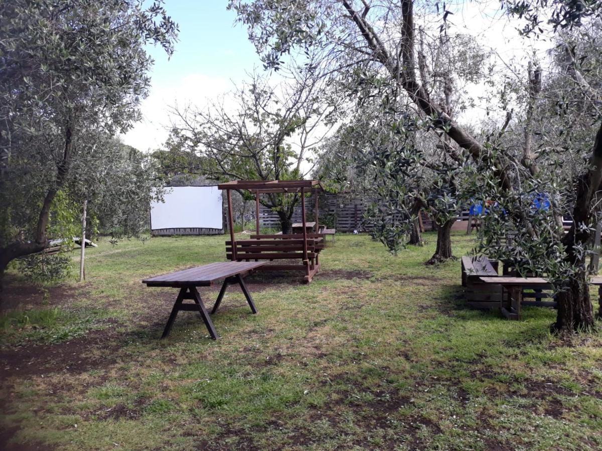 Bici Grill Decimo Miglio Aeroporto Ciampino Francigena Country House Buitenkant foto